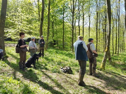 Kennel Batmoors, Caytonfell Gundogs, Mark Demain, Thomas Plambæk