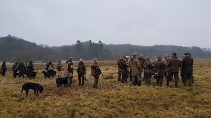 Dommere, dommerseminar, Mark Demaine, Caytonfel Gundogs